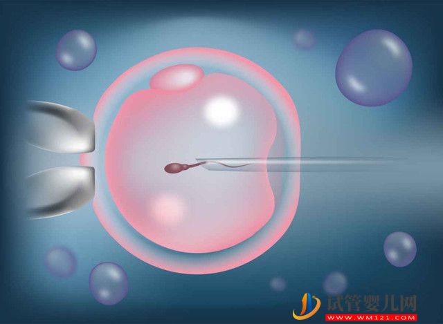 三代试管婴儿精卵结合流程解析，具体过程分为这几步(图1)