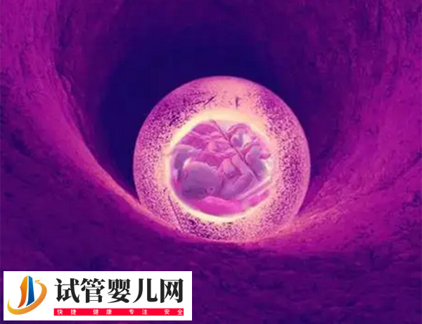 女性卵巢早衰对移植有无影响(图1)