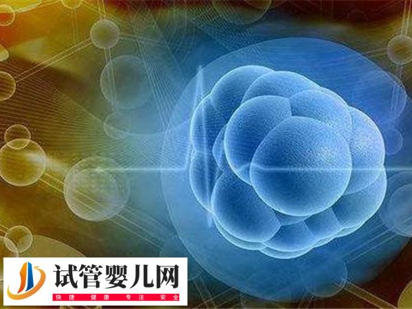 女性卵巢早衰对移植有无影响(图2)