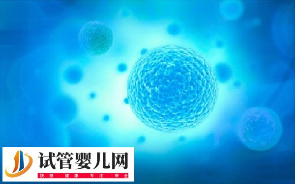 4bc囊胚移植成功率高不高