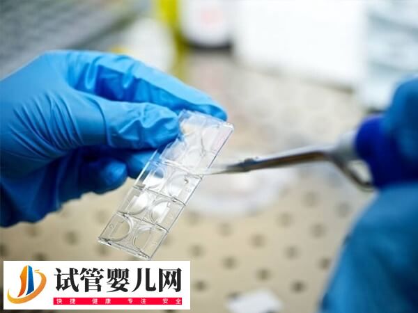 自然周期囊胚移植流程是怎样的