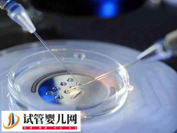 胚胎碎片率30能否移植成功(图1)