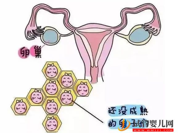 有了性生活就会有妇科病？(图3)