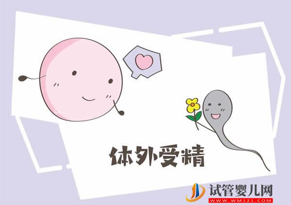 经过冷冻的胚胎解冻后对试管婴儿成功率有影响吗？(图4)