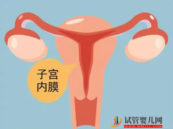 美国试管婴儿优势有哪些 会比国内试管婴儿更健康吗(图3)