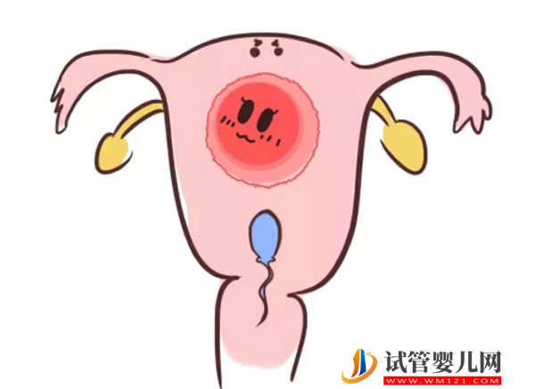 精子畸形一定会造成畸形宝宝吗精子畸形可以治愈吗(图1)